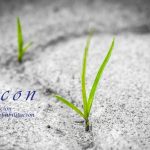 Construcción y Medio Ambiente